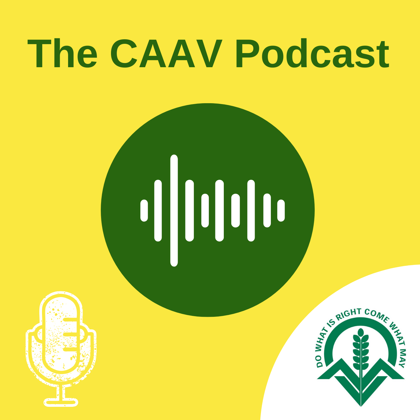 The CAAV Podcast
